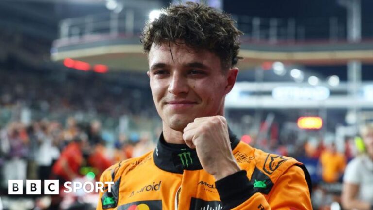 Read more about the article Abu Dhabi Grand Prix: Lando Norris on pole with Lewis Hamilton 18th