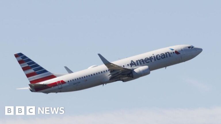 Read more about the article American Airlines resumes Christmas Eve flights after technical issue