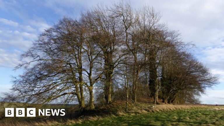 Read more about the article Ancient landmarks closed off to walkers, campaigners say