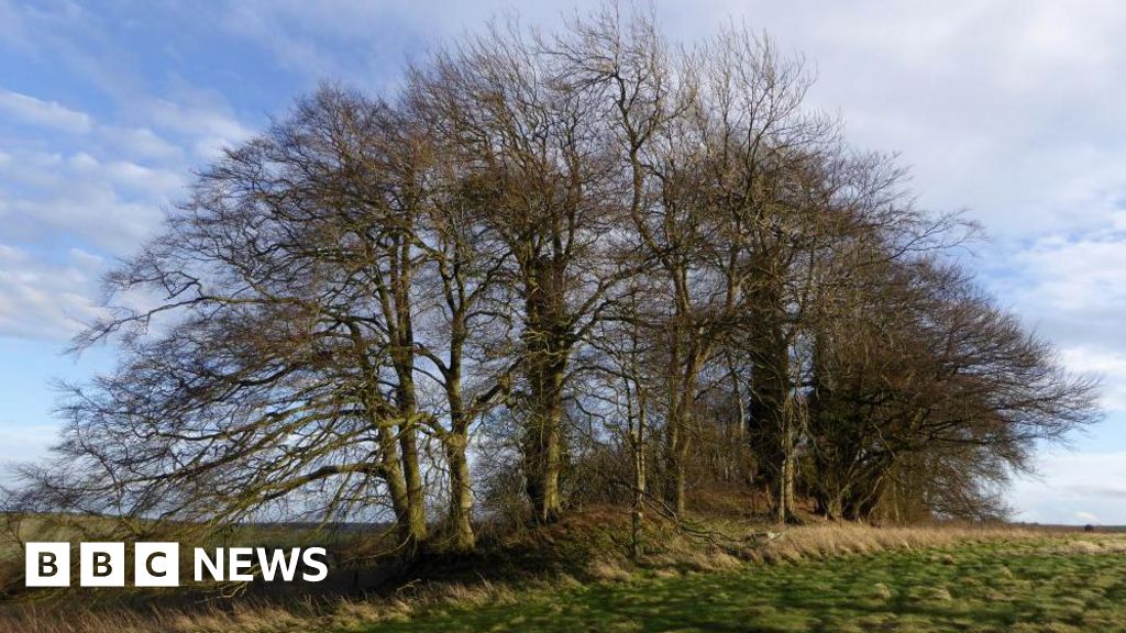 You are currently viewing Ancient landmarks closed off to walkers, campaigners say