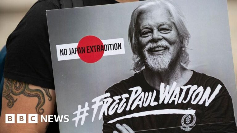 Read more about the article Anti-whaling activist Paul Watson freed in Greenland after five months