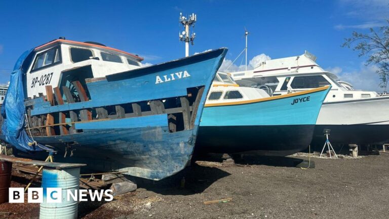 Read more about the article Barbados fishing industry still reeling from hurricane aftermath