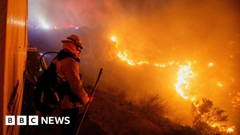 Read more about the article Dick Van Dyke and Cher forced to evacuate Franklin fire in Malibu