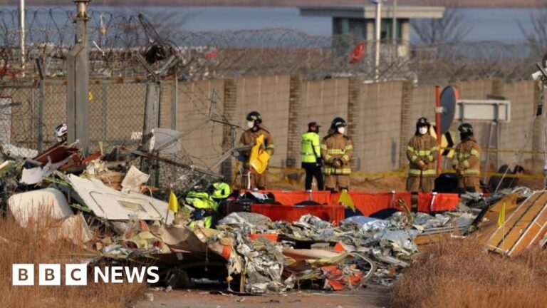 Read more about the article Did bird strike contribute to South Korea plane crash? What we know