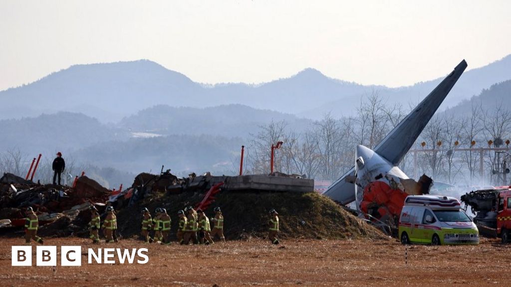 You are currently viewing Dozens dead at Muan airport