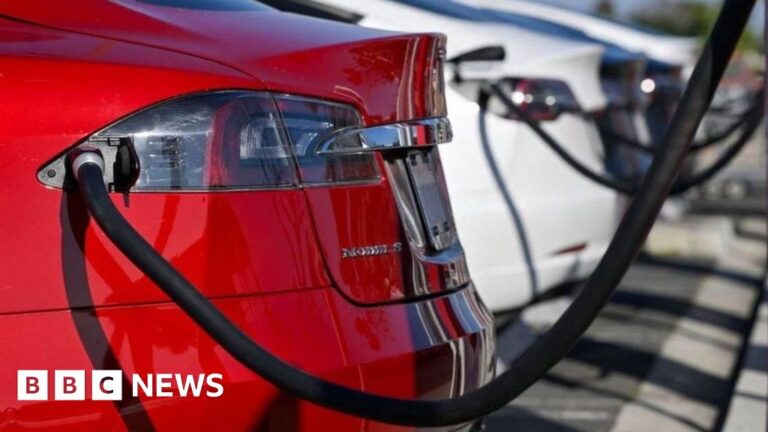 Read more about the article Elon Musk’s Tesla lobbied UK to charge petrol drivers more