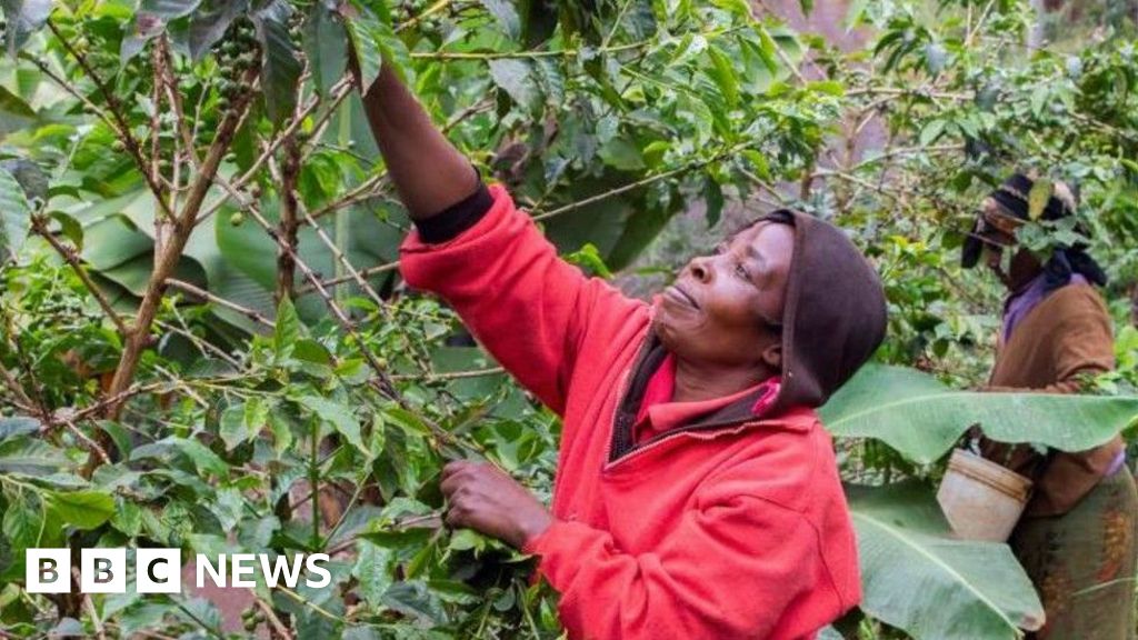 You are currently viewing Farmers face the double whammy of poor pay and climate change