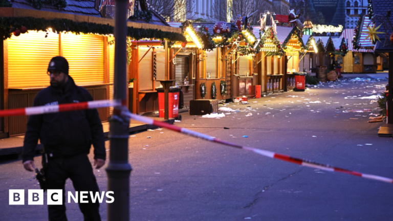 Read more about the article German Christmas market suspect remanded by judge