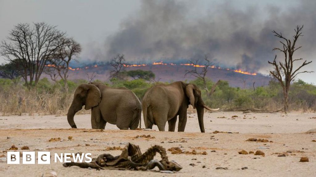 You are currently viewing IPBES report sees climate, nature and food challenges interlinked