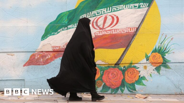 Read more about the article Iran pauses controversial new dress code law