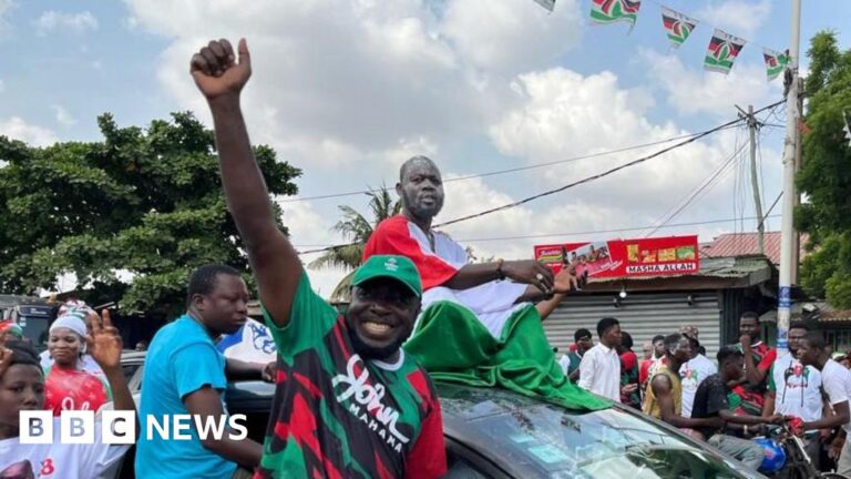 Read more about the article John Mahama wins as Mahamudu Bawumia accepts defeat