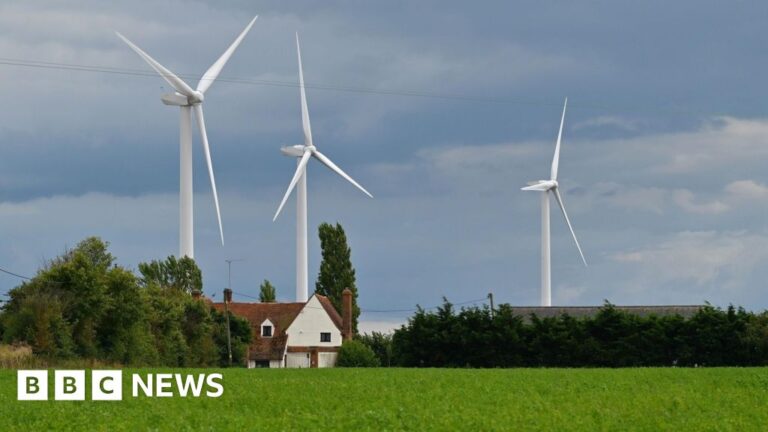 Read more about the article Miliband unveils energy plan with new powers over wind farms