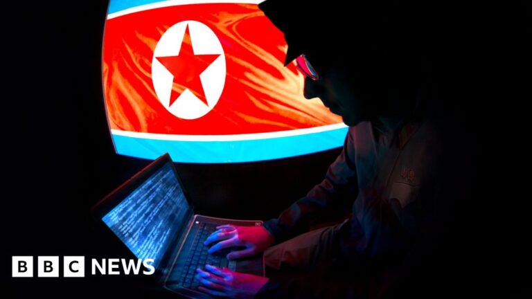 Read more about the article N Korea made millions from remote work scheme, US says