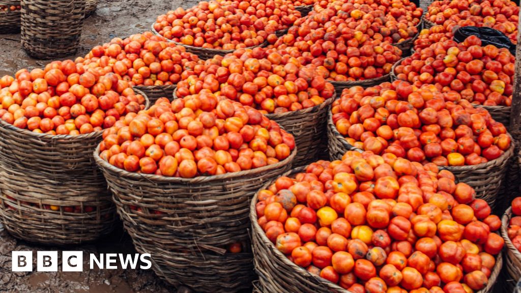 Read more about the article Nigeria suffers another deadly crush at event offering free food