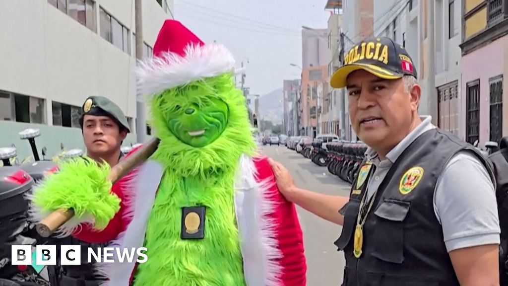 Read more about the article Police officer dressed as the Grinch leads drug raid in Peru