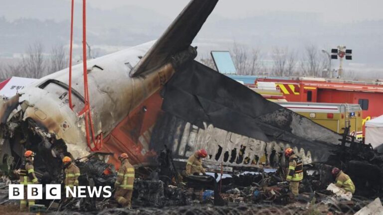 Read more about the article S Korea orders air safety probe after deadly plane crash