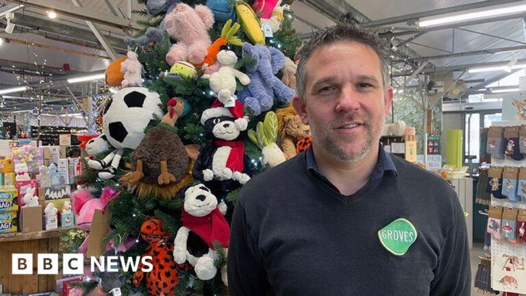 Read more about the article Shopkeeper tracks down mum stealing Jellycat toys to sell on Vinted