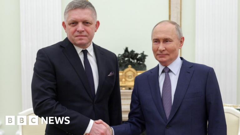 Read more about the article Slovakia’s Robert Fico meets Vladimir Putin in surprise Moscow visit