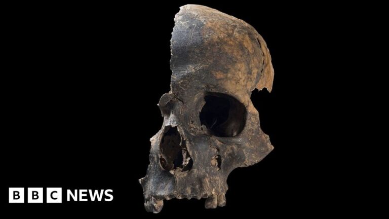 Read more about the article Somerset Bronze Age massacre victims likely cannibalised