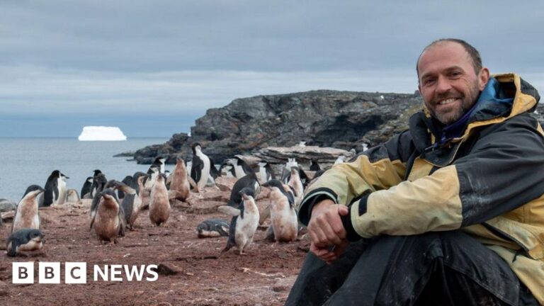 Read more about the article ‘This Christmas I’ll be counting penguins in Antarctica’