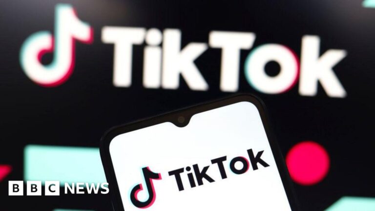 Read more about the article TikTok asks for emergency pause to looming US ban