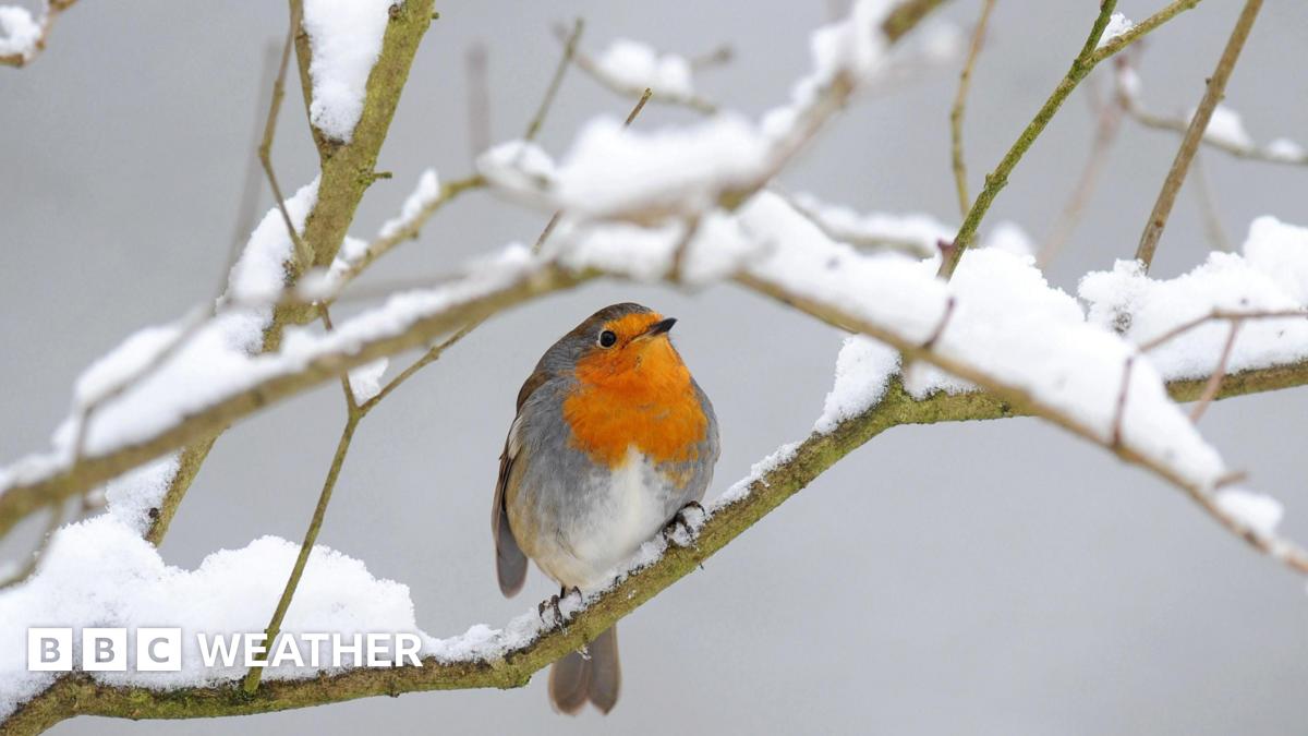 You are currently viewing UK snow: Five things you might not know