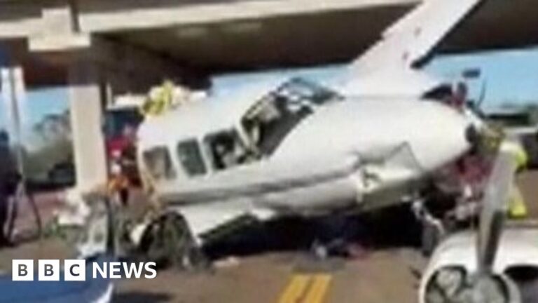 Read more about the article Watch: Small plane split in two in crash on US highway