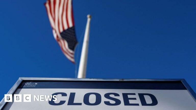 Read more about the article What is a US government shutdown?