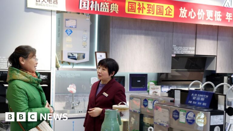 Read more about the article Beijing bets on rice cookers and microwaves to boost economy