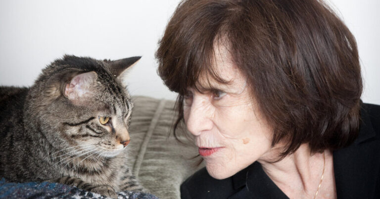 Read more about the article Carole Wilbourn, Who Put Cats on the Couch, Dies at 84