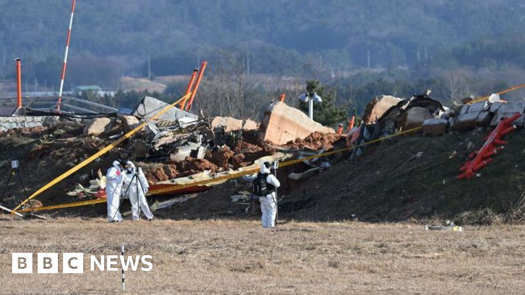 You are currently viewing Data extracted from black box, says South Korea