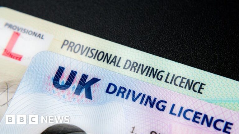 Read more about the article Digital driving licences to be introduced this year