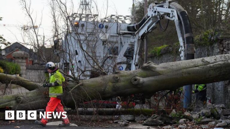 Read more about the article High winds continue as nearly a million without power