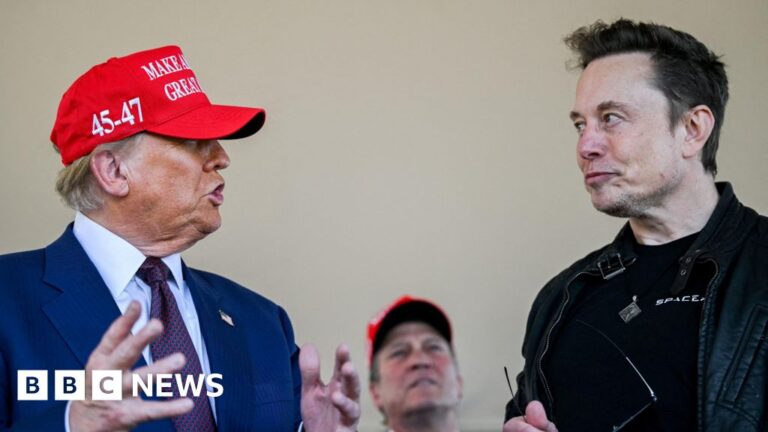 Read more about the article How Trump and Musk’s interventions prompt diplomatic challenge