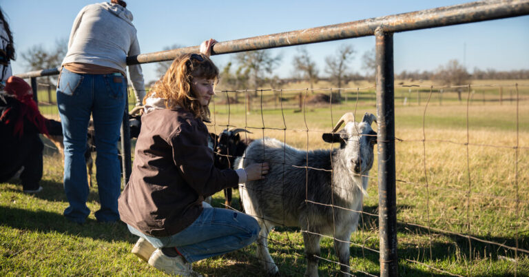 Read more about the article Kennedy’s Plan for the Drug Crisis: A Network of ‘Healing Farms’