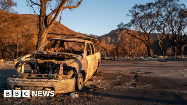 Read more about the article LA braces for stronger winds as fires continue to burn