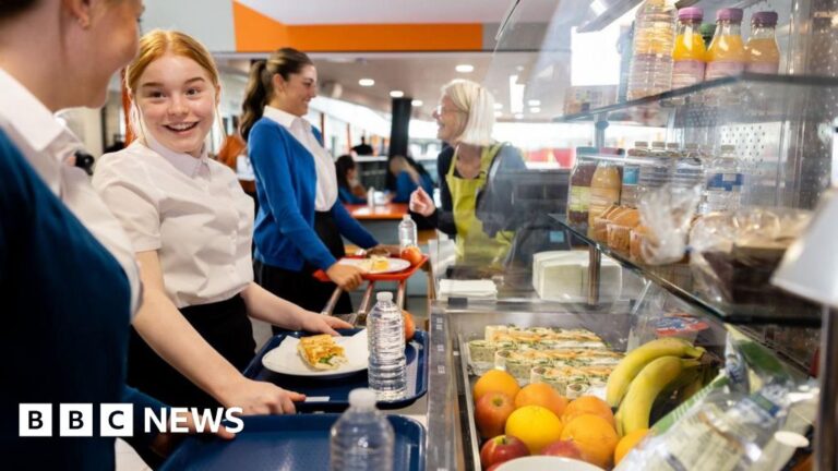 Read more about the article Labour MP says free school meals would tackle child poverty