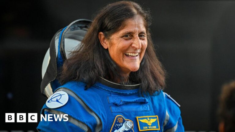 Read more about the article Nasa’s Sunita Williams makes first of two spacewalks