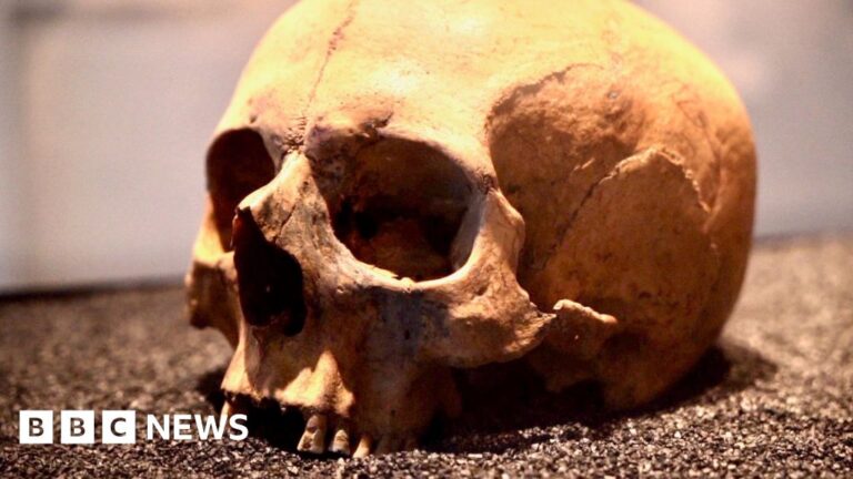 Read more about the article New bone test could rewrite British history, say scientists