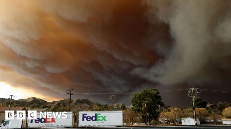 Read more about the article New fast-growing blaze erupts near Los Angeles