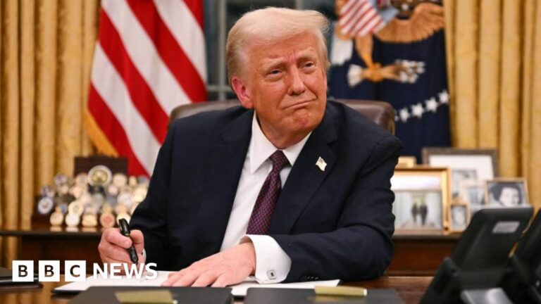 Read more about the article President Trump signs executive order delaying TikTok ban