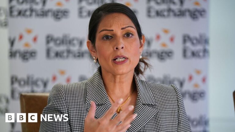 Read more about the article Priti Patel clarifies defence of party’s immigration record