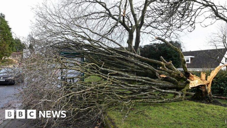 Read more about the article Rare red warning in Scotland ahead of Storm Éowyn