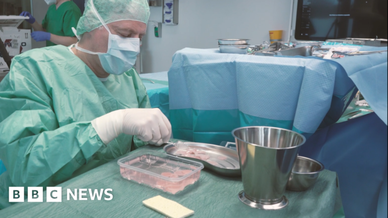 Read more about the article Scientists trial implant to patch up the heart