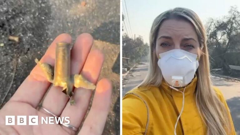 Read more about the article Spent cartridges found amongst fire wreckage in Los Angeles