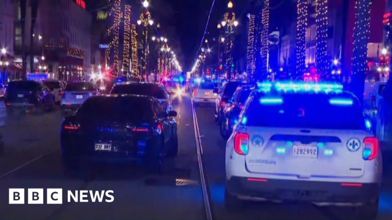 Read more about the article Ten people killed in New Orleans as vehicle ploughs into crowd