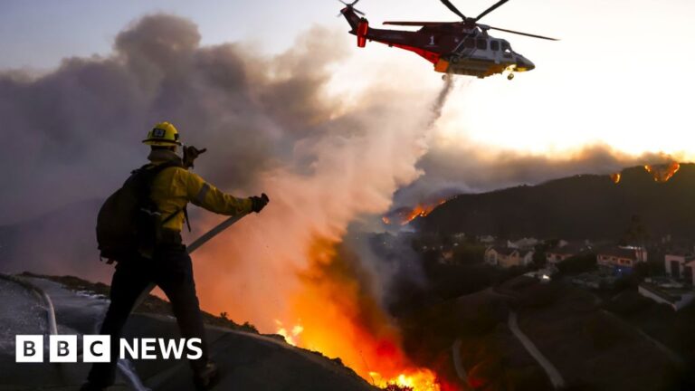 Read more about the article The celebrity Los Angeles area ravaged by wildfire