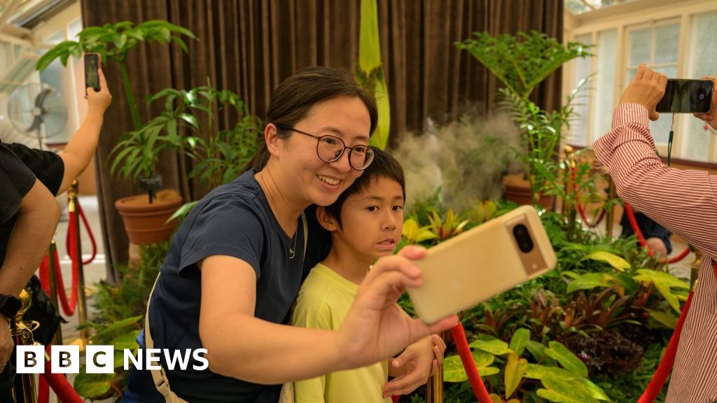 You are currently viewing Thousands await corpse plant’s rare bloom