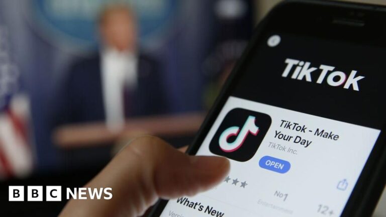 Read more about the article TikTok ban likely to spread to US allies