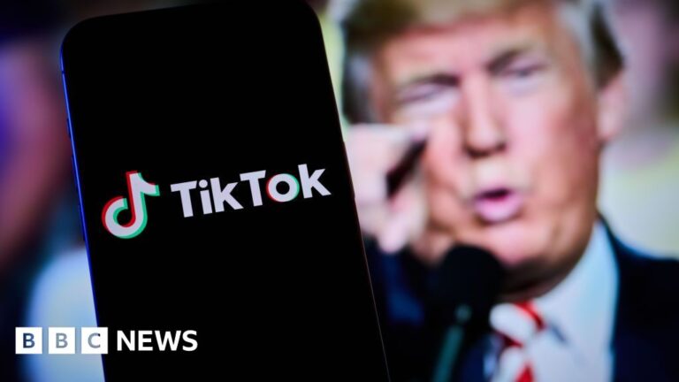 Read more about the article TikTok restoring services in US after Trump pledge